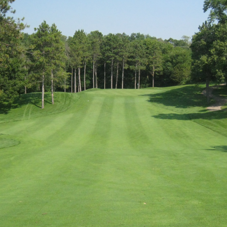 Pro Golf Fairways (20kg) Wild Wales Seeds