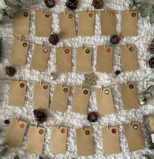 24 Wildflower Seeds Christmas Countdown Advent Calendar